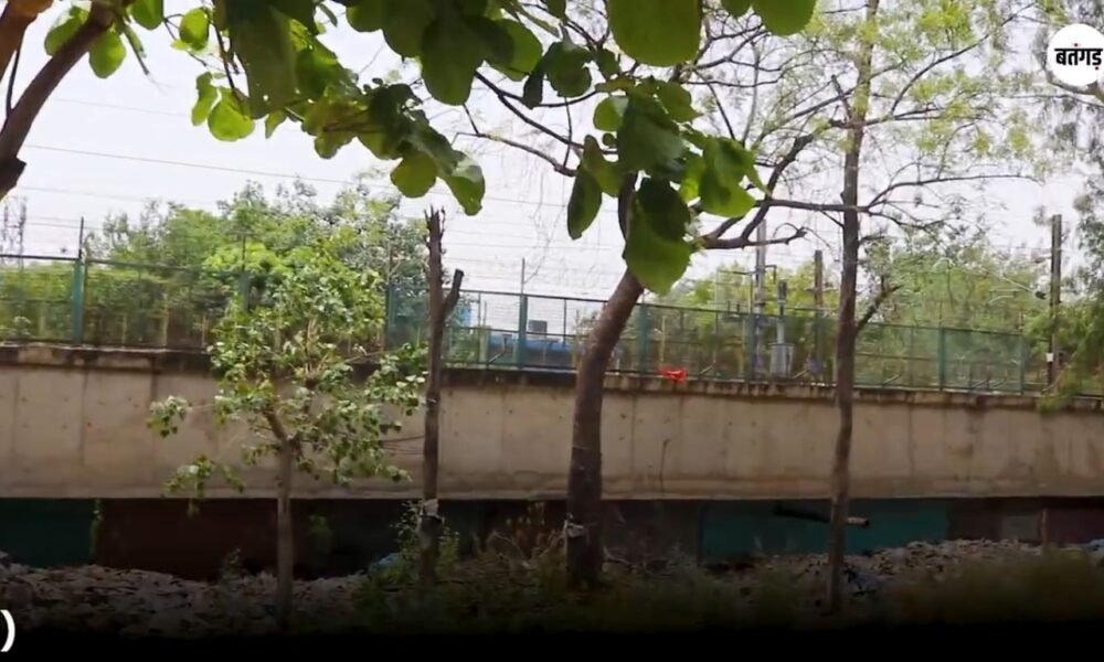 WhatsApp Image 2026 05 27 at 15.05.54